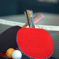  中国女排战略转向明显；三大关键位置补强到位，老将重返带来稳定力量，冲刺奥运门票信心十足。 体育新闻