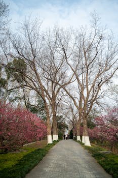 旅企数字化转型实操：从丽江与九华财报看核心竞争力构建