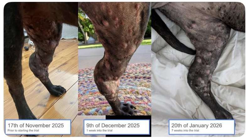  守护家庭健康：麻疹风险与疫苗防护指南 健康养生