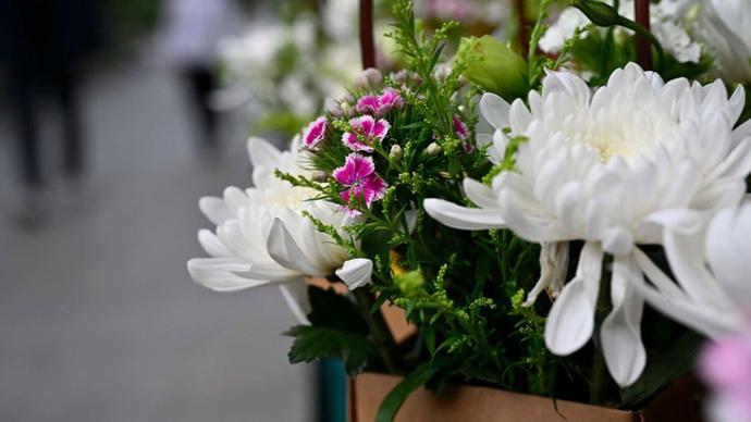 万千历法之谜：揭秘清明节“早晚”更替的底层逻辑 文化旅游