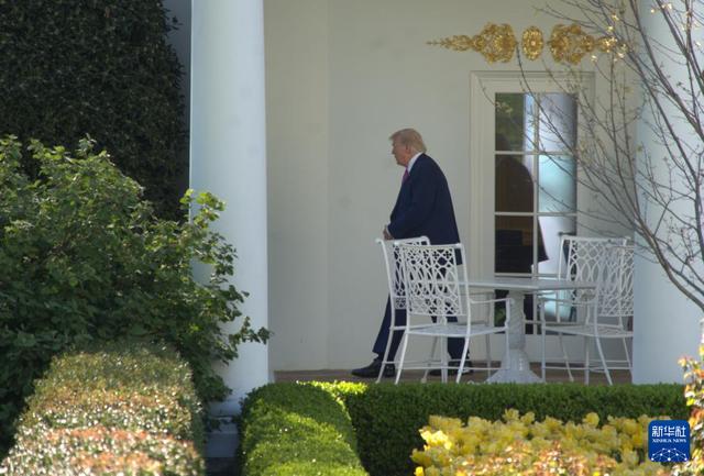  技术视角下的霍尔木兹危机：2万海员被困的全球供应链震荡全解析 新闻