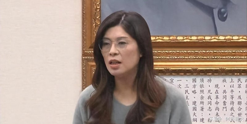  【深度解析】国民党路线博弈：郑丽文时代的政治精算与两岸困局 新闻