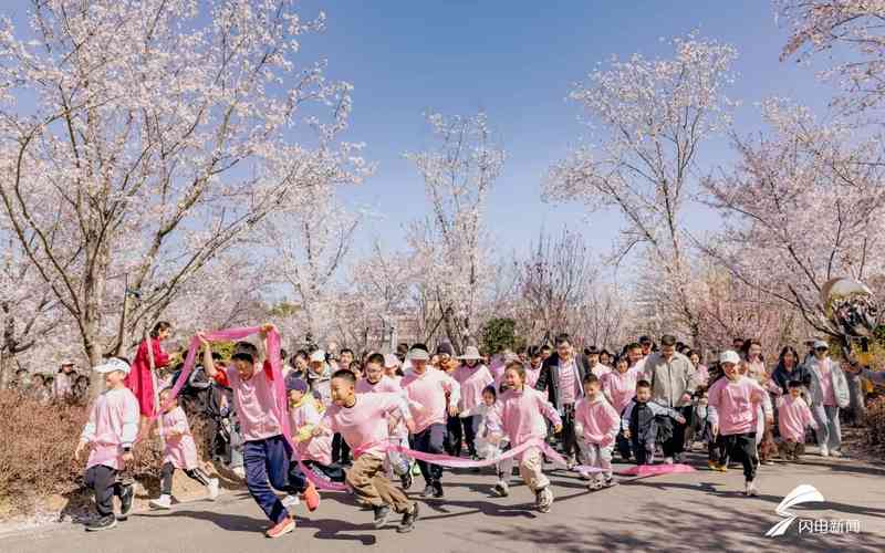  以花为媒·以节兴旅：日照五莲杜鹃花乡艺术季深度复盘与技术解构 文化旅游