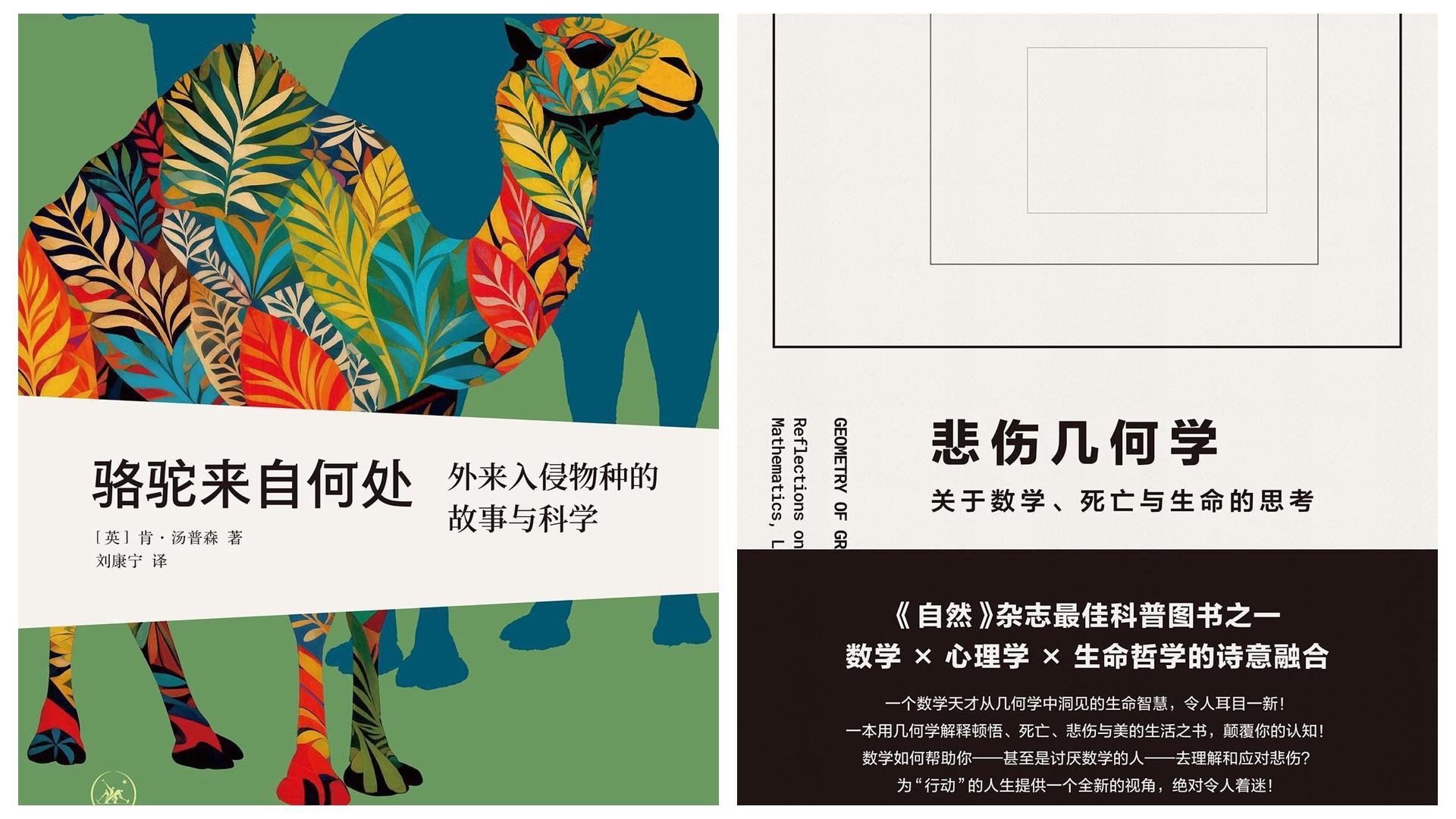  马尼拉“雾霾围城”：垃圾填埋场火灾背后的环境治理困局 新闻