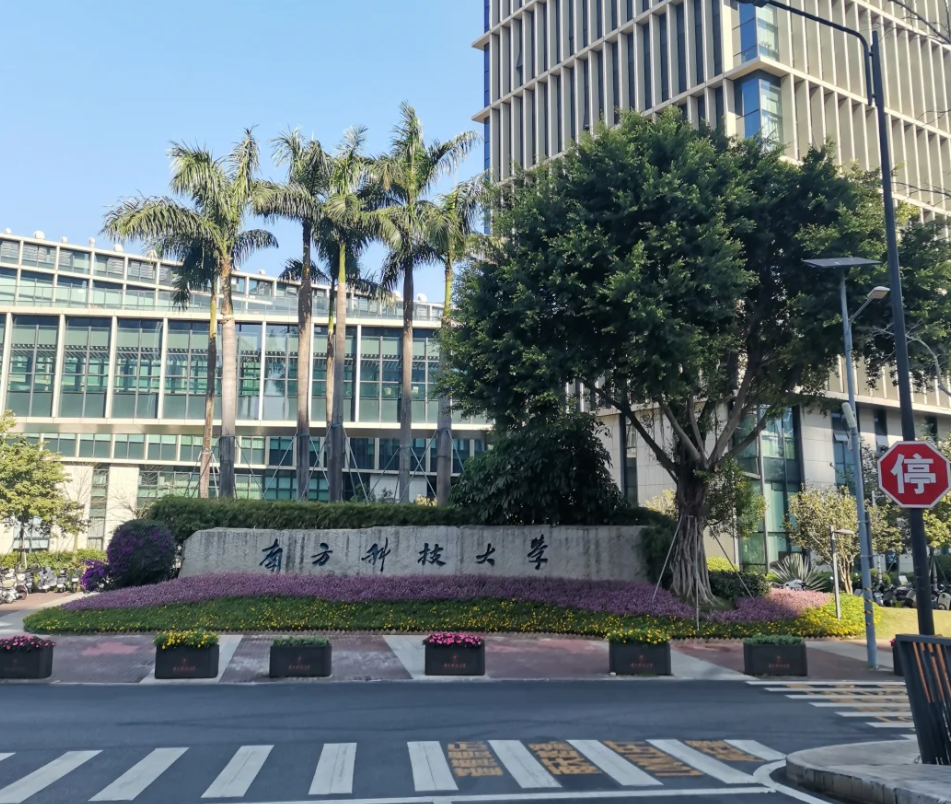  从“学历通胀”到“能力本位”：2026高校扩招背后的产业逻辑与选择策略 教育招生