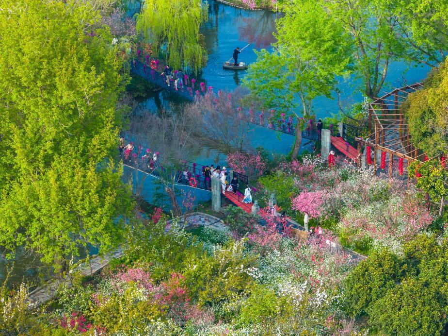  染井吉野与油菜花的交响：浦东赏花胜地技术维度深度测评报告。 文化旅游