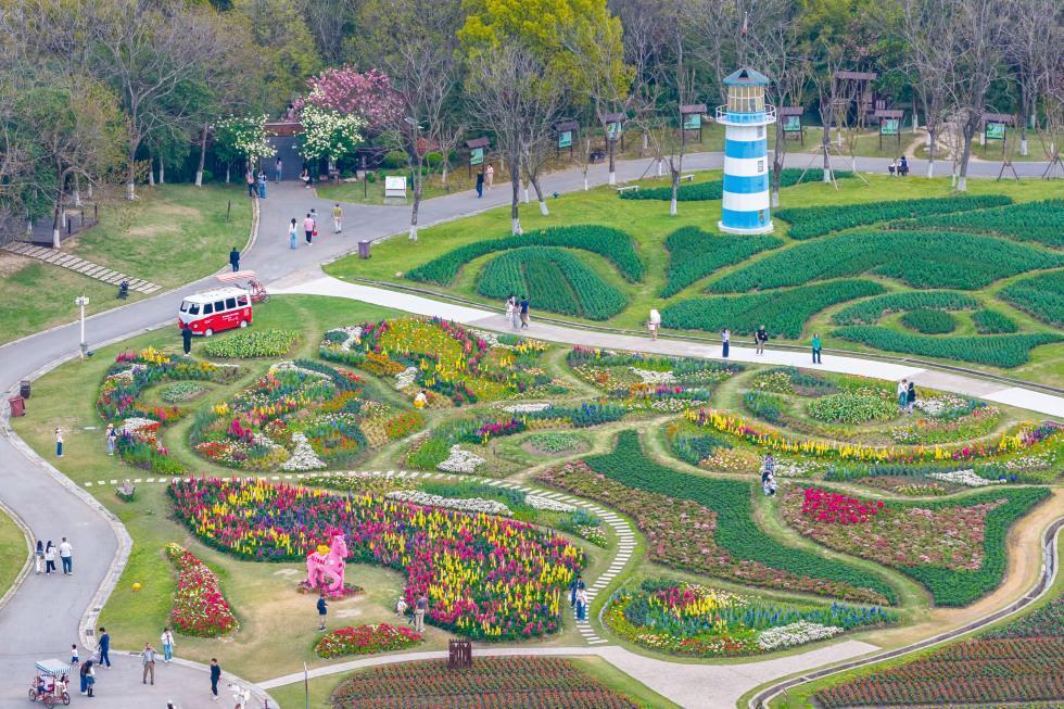  染井吉野与油菜花的交响：浦东赏花胜地技术维度深度测评报告。 文化旅游