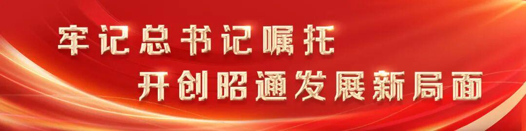  技术驱动生态跃升：乌蒙山保护区智慧护鸟体系深度解构 新闻