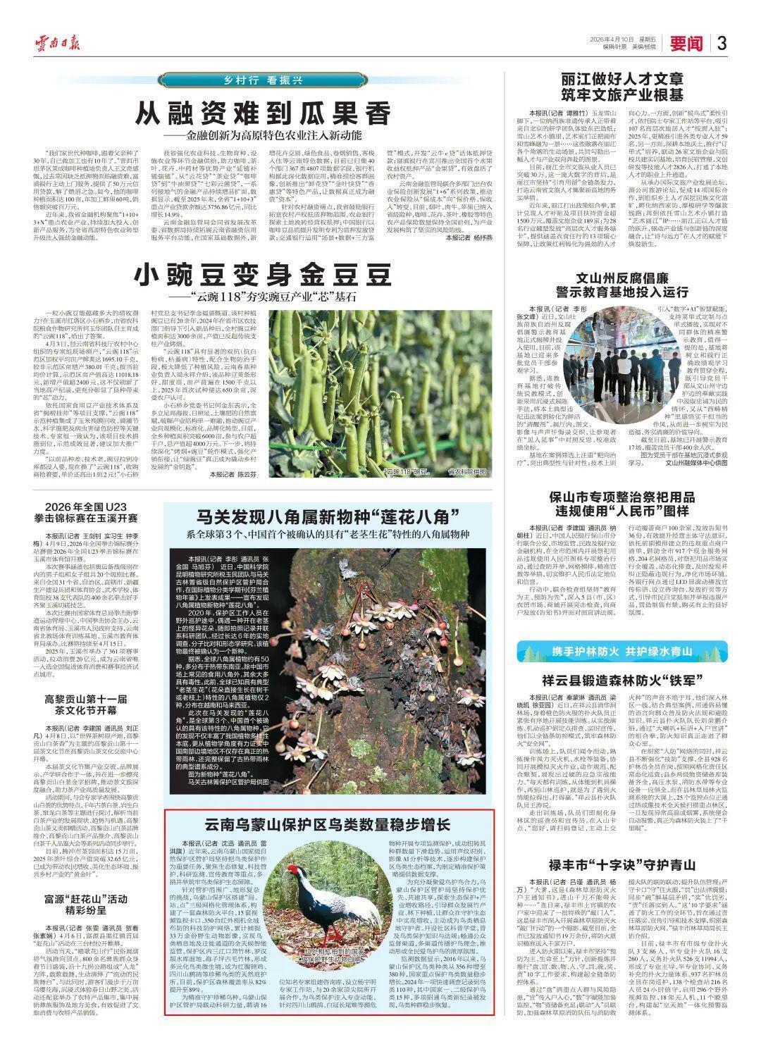  技术驱动生态跃升：乌蒙山保护区智慧护鸟体系深度解构 新闻