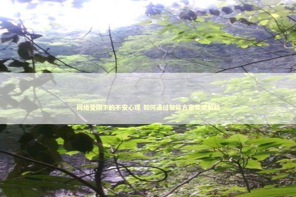 网络受限下的不安心理 如何通过智能方案实现解脱 新闻