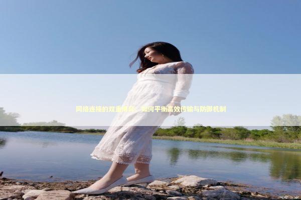 网络连接的双重博弈：如何平衡高效传输与防御机制 IT技术