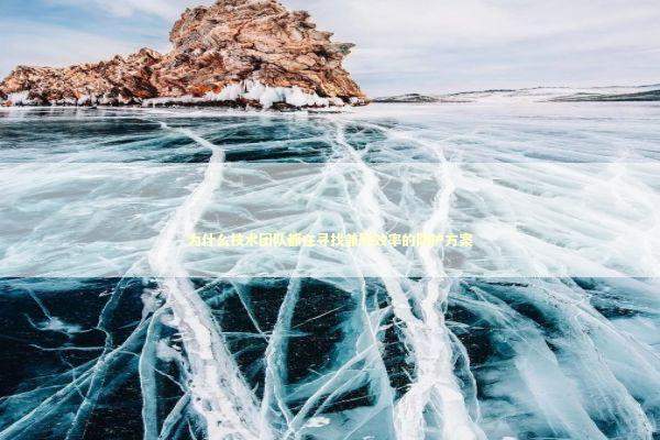 为什么技术团队都在寻找兼顾效率的防护方案 IT技术