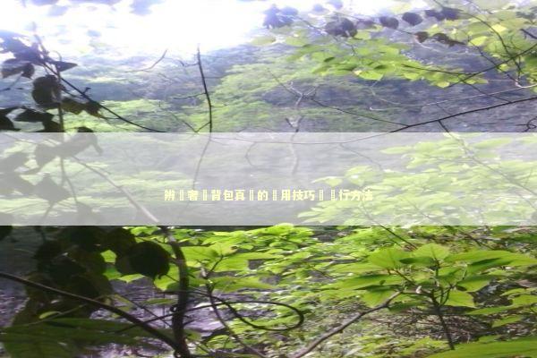 辨別奢華背包真偽的實用技巧與內行方法