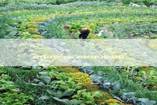 揭秘专业人士如何打磨图标：那些教科书里不会教的实战细节 IT技术